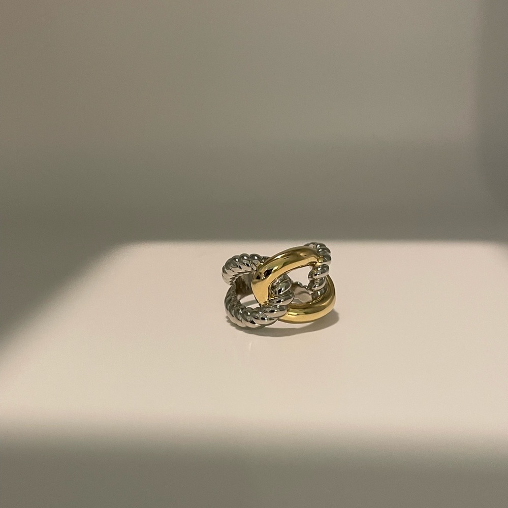 Mixed metal ring
